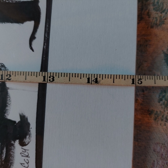 Manitoba Artist Sharon Cory's 2 Original Paintings. 15" x 9.5" - Picture 8 of 9